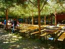 Filename=Waldfest_2013_286629.JPG
Filesize=895KiB
Dimensions=2048x1536
Date added=Jul 07, 2013 Waldfest_2013_286629.JPG